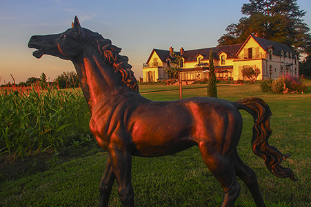 ledomaine